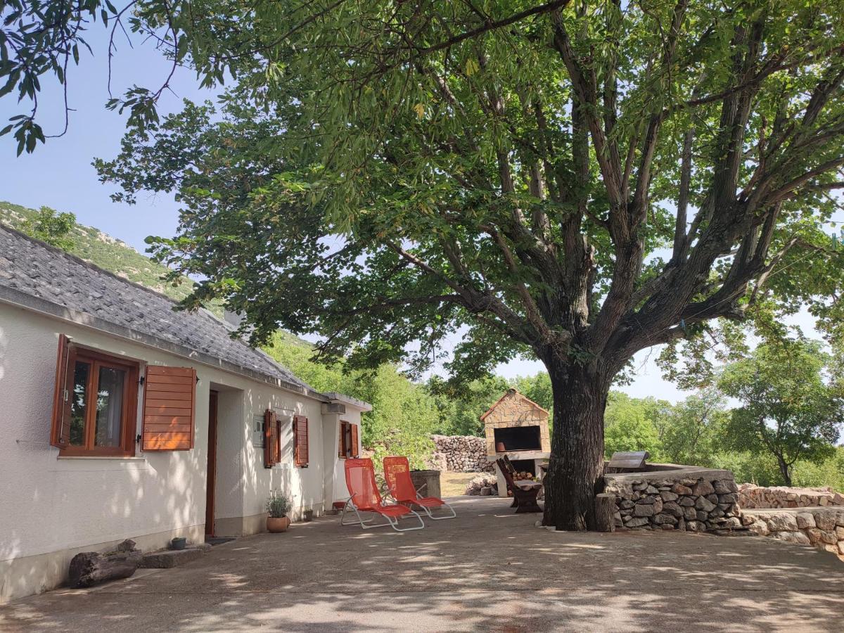 Holiday Home Lucija "" Private House With Pool "" ヤブラナツ エクステリア 写真